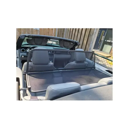 Defletor de vento para Ford Mustang 5 (2004-2015)